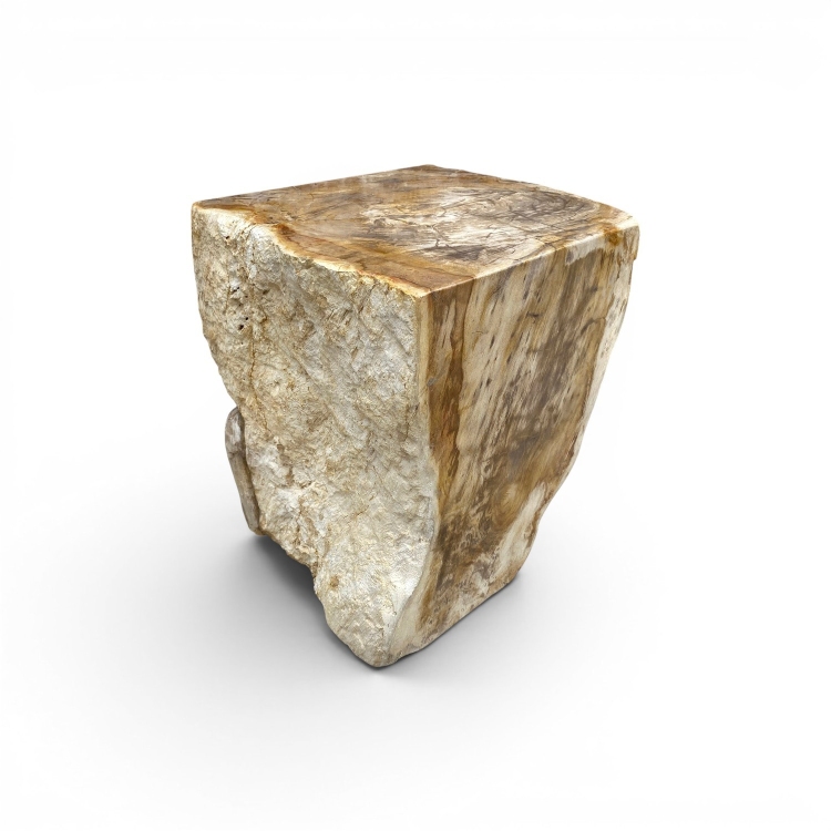 Pieza Decorativa de Madera Petrificada MILOS