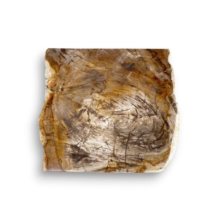 Mesa de Apoyo de Madera Petrificada MILOS