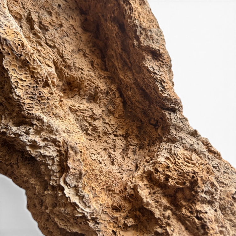 Planter Tabletop Natural Limestone for Bonsai MOLDAVA