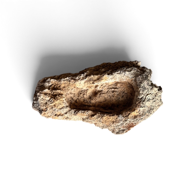 Maceta para Bonsái de Piedra Caliza de Sobremesa MOLDAVA