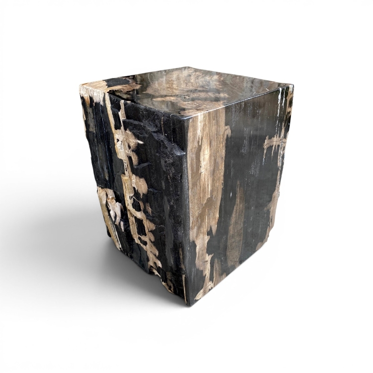 Asiento Escultural de Madera Petrificada NERO