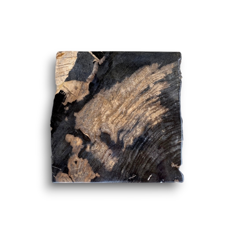 Asiento Decorativo de Madera Petrificada NERO