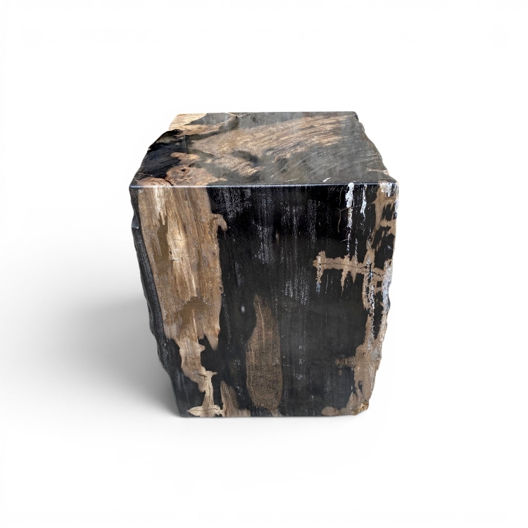 Pieza Auxiliar de Madera Petrificada Negra NERO