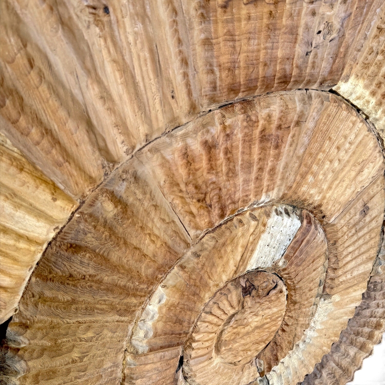 Amonite Decorativo de Madera LYME