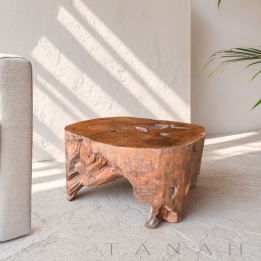 Mesa de Madera de Teca MIRAVET