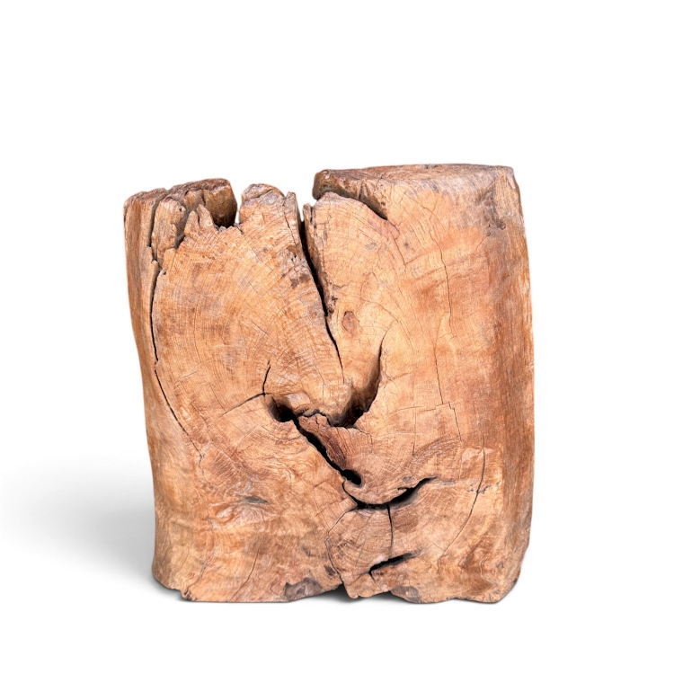 Sculptural Teak Seat FIRENZE