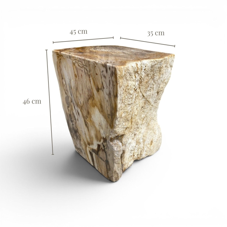 Taburete Decorativo de Madera Petrificada MILOS