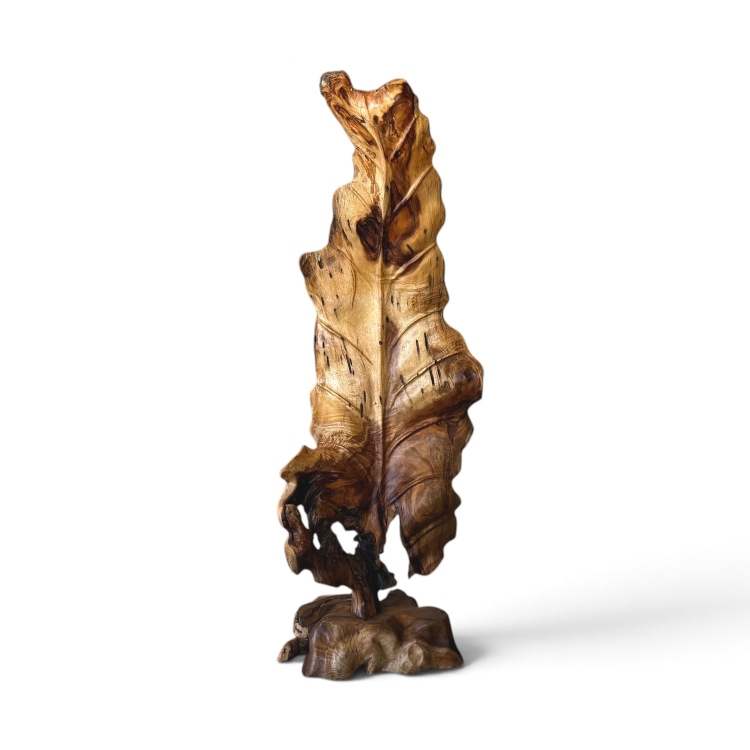 Escultura de Hoja de Suar DUNIA