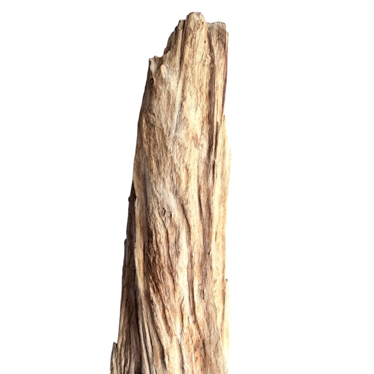 Vertical Natural Wood Sculpture CALELLA