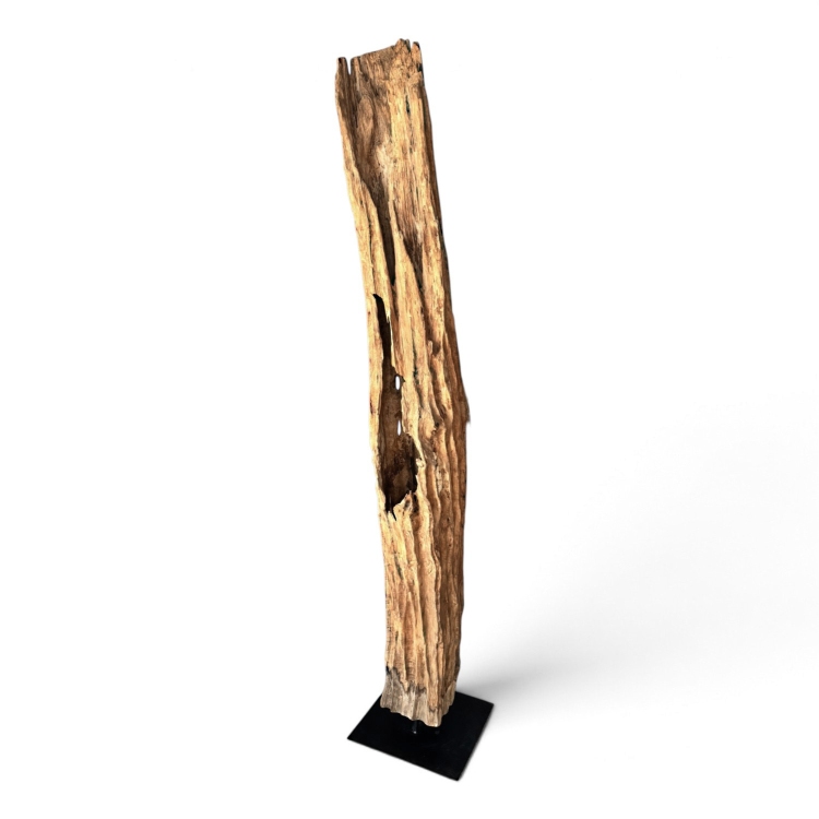 Tall Teak Sculpture LUZIO