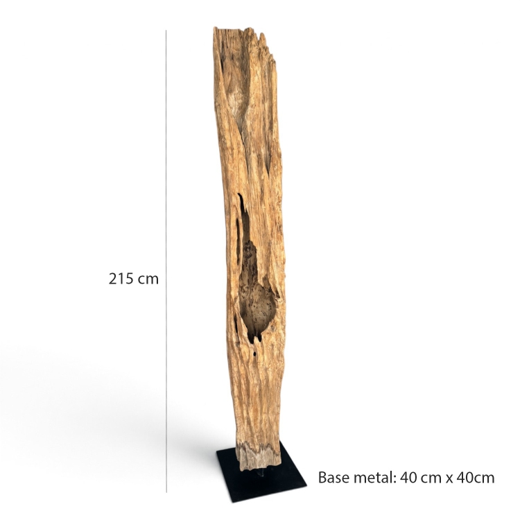 Teak Trunk Sculpture LUZIO