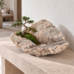 Limestone Bonsai Planter TOSSA