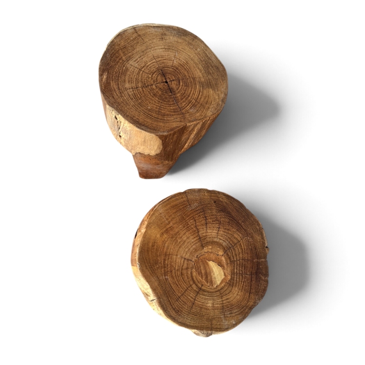 Set of Two Solid Teak Stools TAMARIT