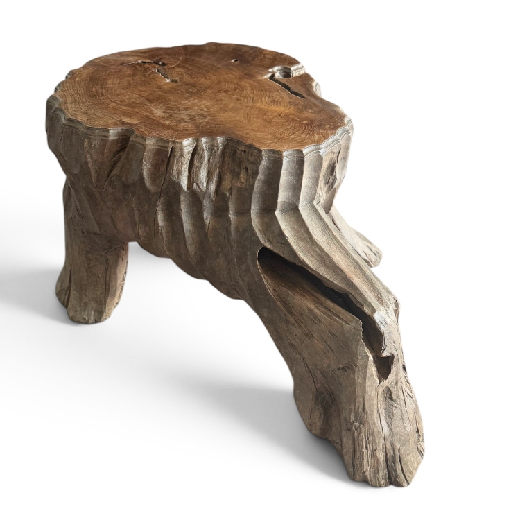 Mesa Baja de Madera Escultórica PARIS