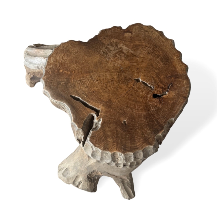 Sculptural Wood Low Table PARIS
