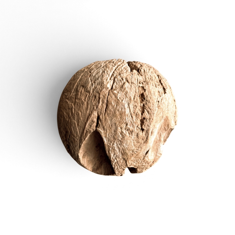 Handcrafted Decorative Teak Ball ATLAS