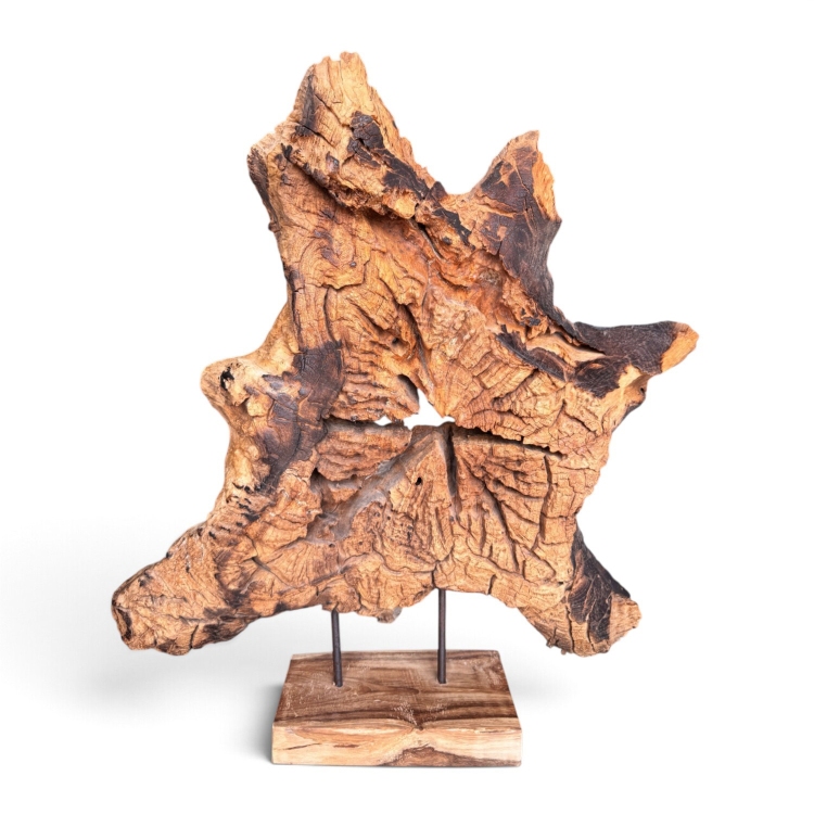 Escultura de Raiz de Teca Natural VEGA
