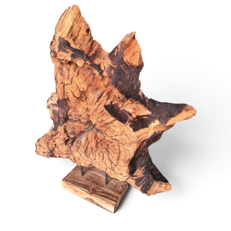 Escultura Decorativa de Raiz de Teca VEGA