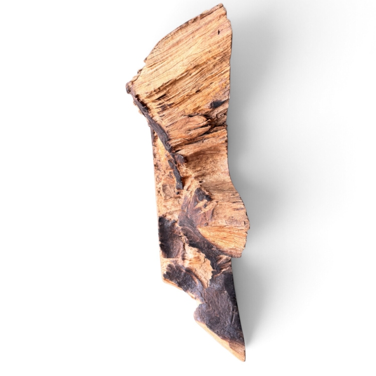 Handcrafted Teak Root Sculpture VEGA