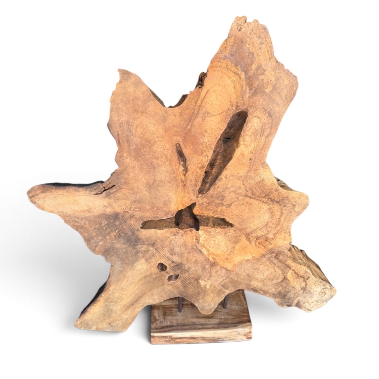 Escultura Artesanal de Raiz de Teca VEGA