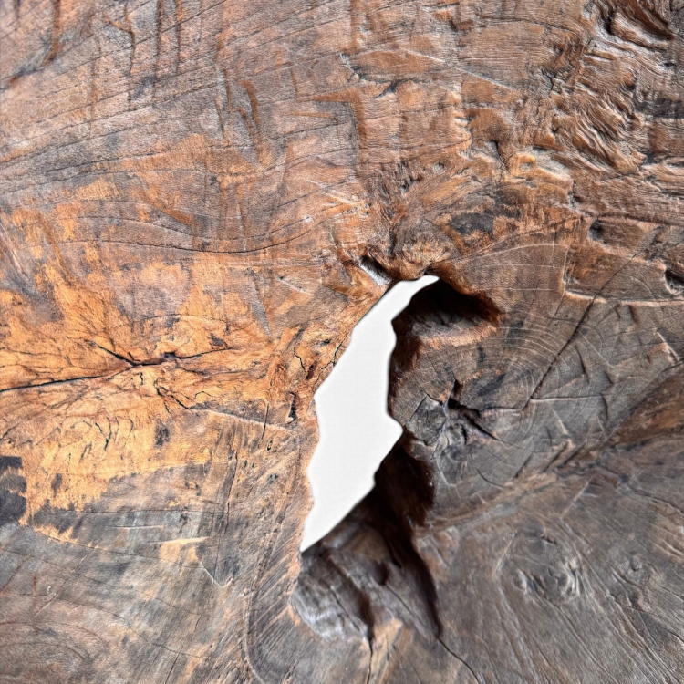 Detalle Madera Silla MODICA