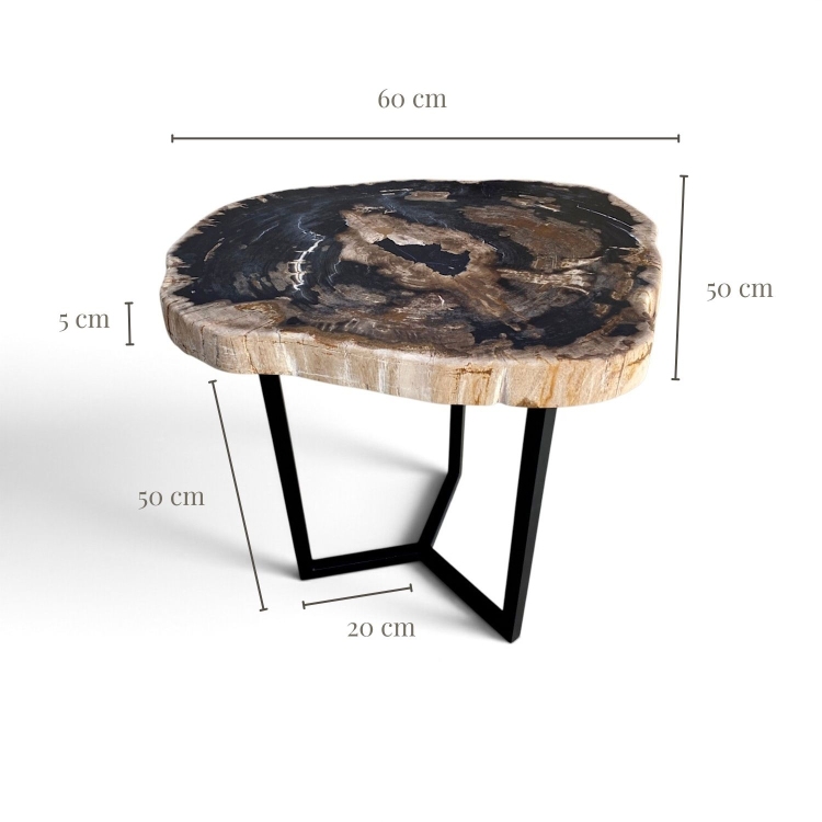 Petrified Wood Side Table BRAIES