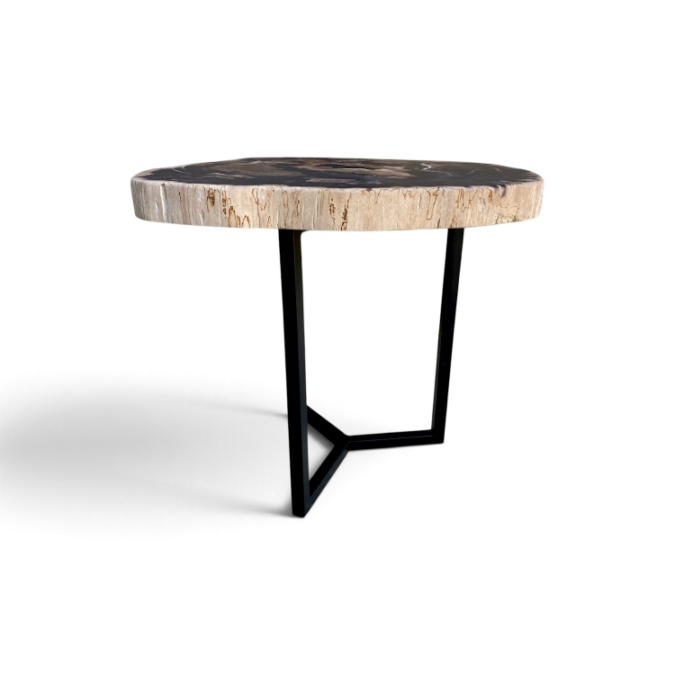 Natural Petrified Wood Table BRAIES