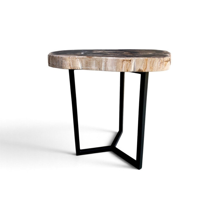 Sculptural Petrified Wood Table BRAIES