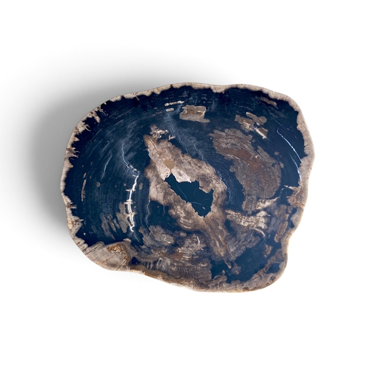 Fossilised Wood Table BRAIES