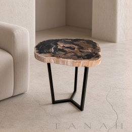 Petrified Wood Side Table BRAIES