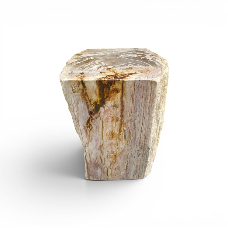 Asiento de Madera Petrificada Natural VOLGA