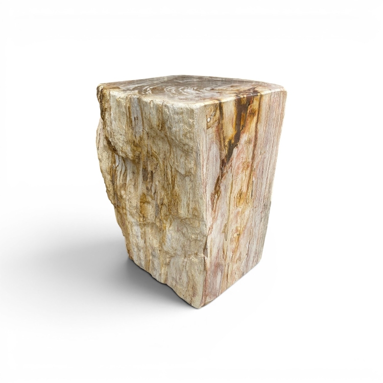 Asiento Escultorico de Madera Petrificada VOLGA