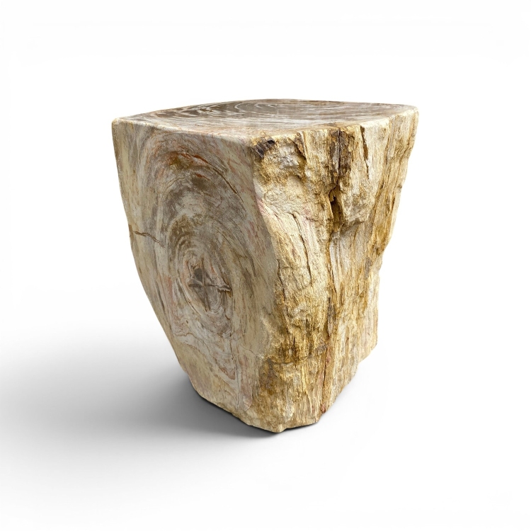 Petrified Wood Trunk Seat VOLGA