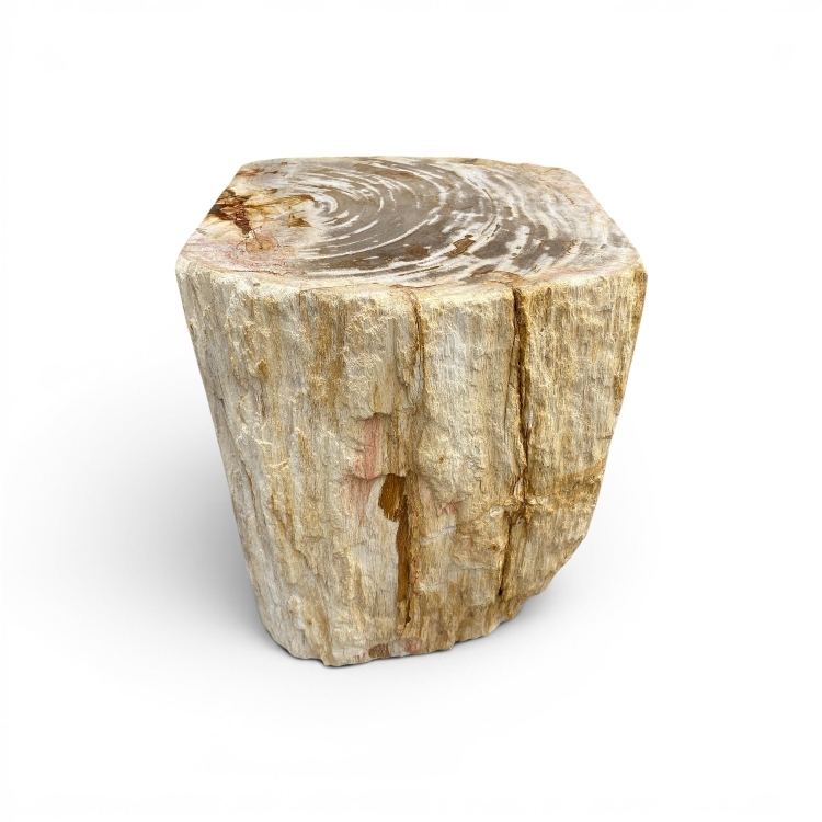 Fossil Wood Seat VOLGA