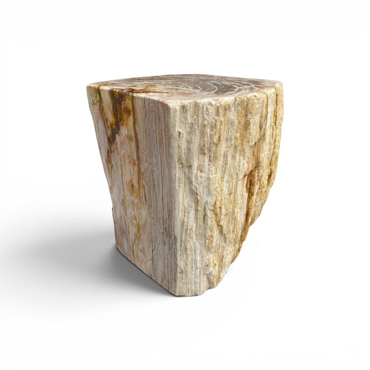 Asiento de Madera Petrificada Maciza VOLGA
