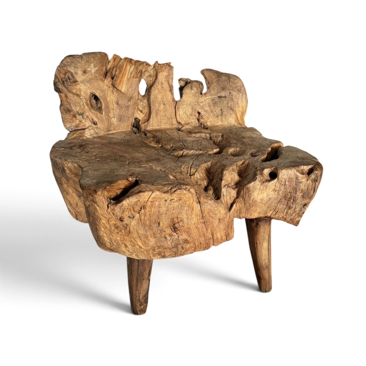 Organic Shaped Wooden Chair NARBONA