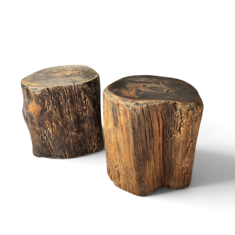 Conjunto de Taburetes de Teca Antigua CANNES