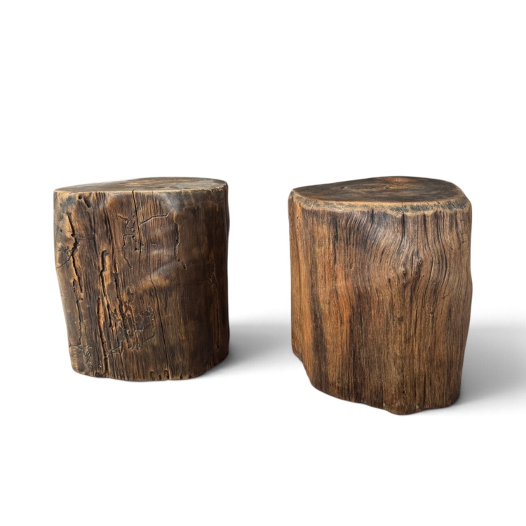Pareja de Taburetes de Teca Maciza CANNES