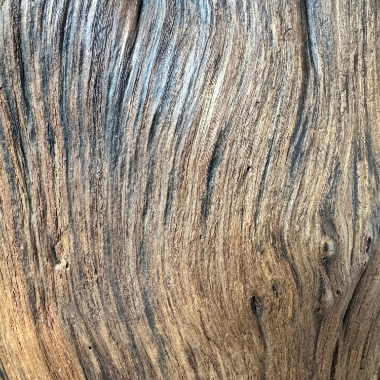 Detail of the Wood of the Stools CANNES