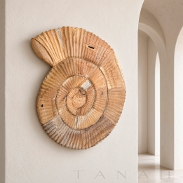 Amonite de Madera Suar LYME