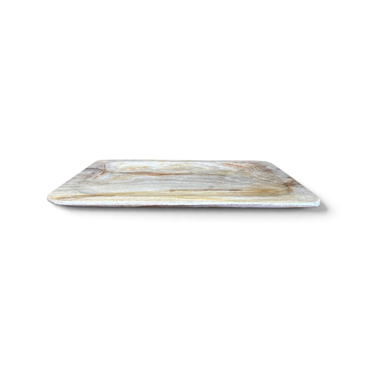 Fossilised Wood Tray MAGGIORE