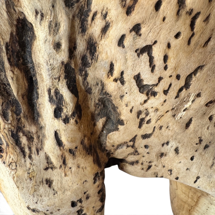 Detalle de la madera del taburete BARI