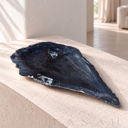 Polished Petrified Wood Tray ETNA