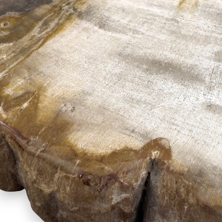 Petrified Wood Detail Plate JAVA