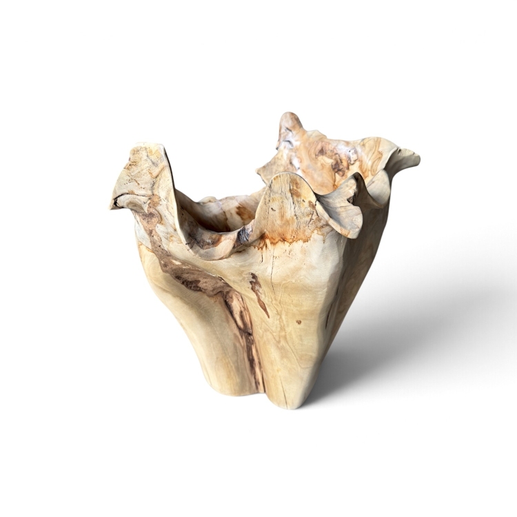 Decorative Teak Vessel AZOV