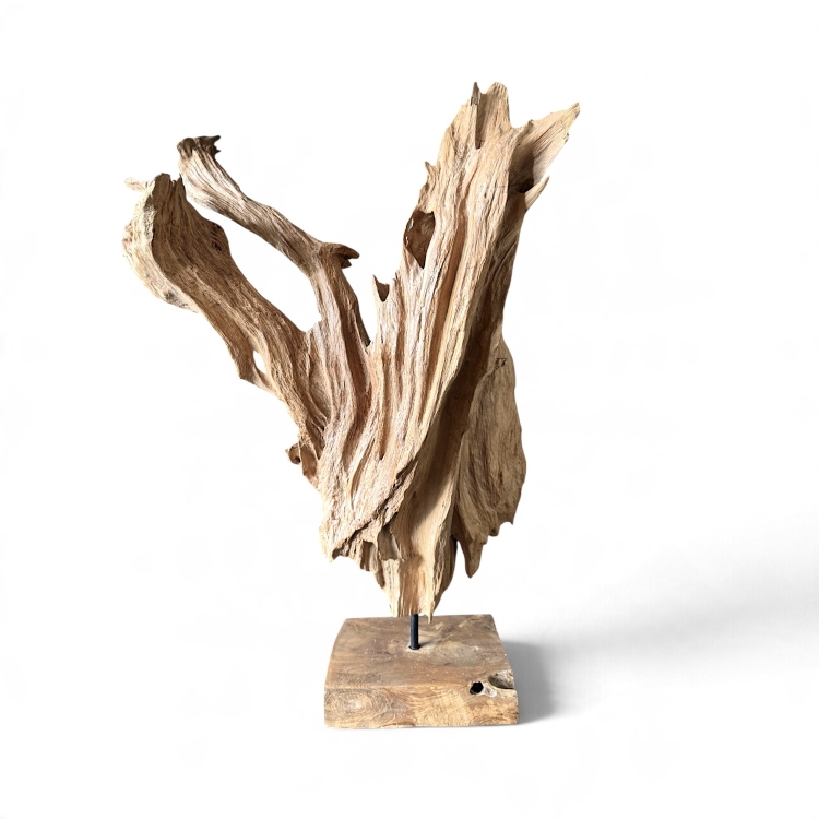 Decorative Teak Sculpture COLMAR
