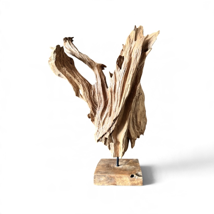 Organic Teak Sculpture COLMAR