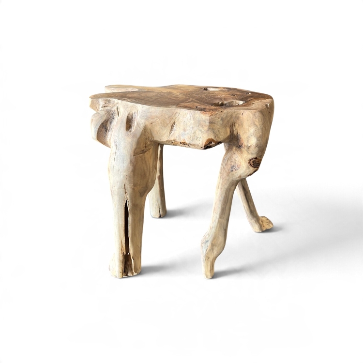 Mesa Escultorica de Raiz de Teca ARNO