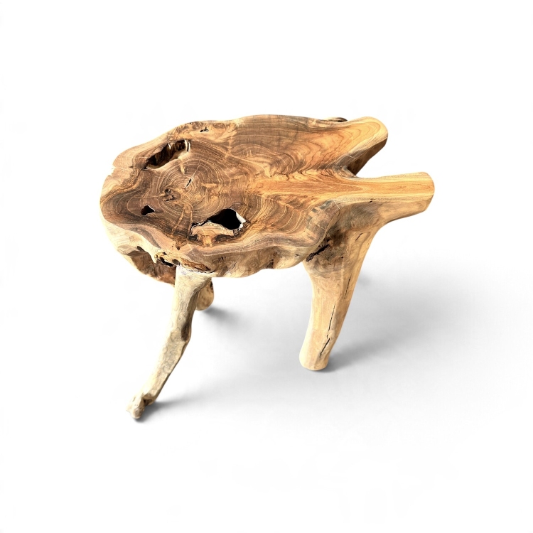 Mesa Decorativa de Raiz de Teca ARNO