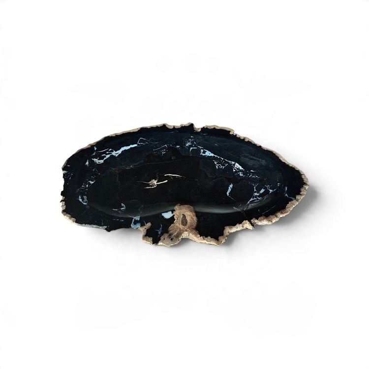 Handcrafted Petrified Wood Tray DIJON